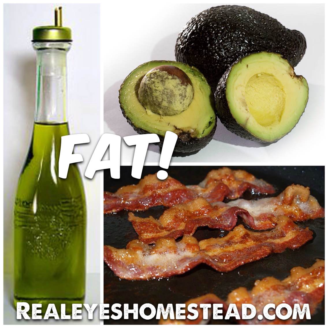 What are Healthy Fats?