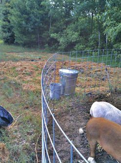 How to Make a Portable Pig Pen