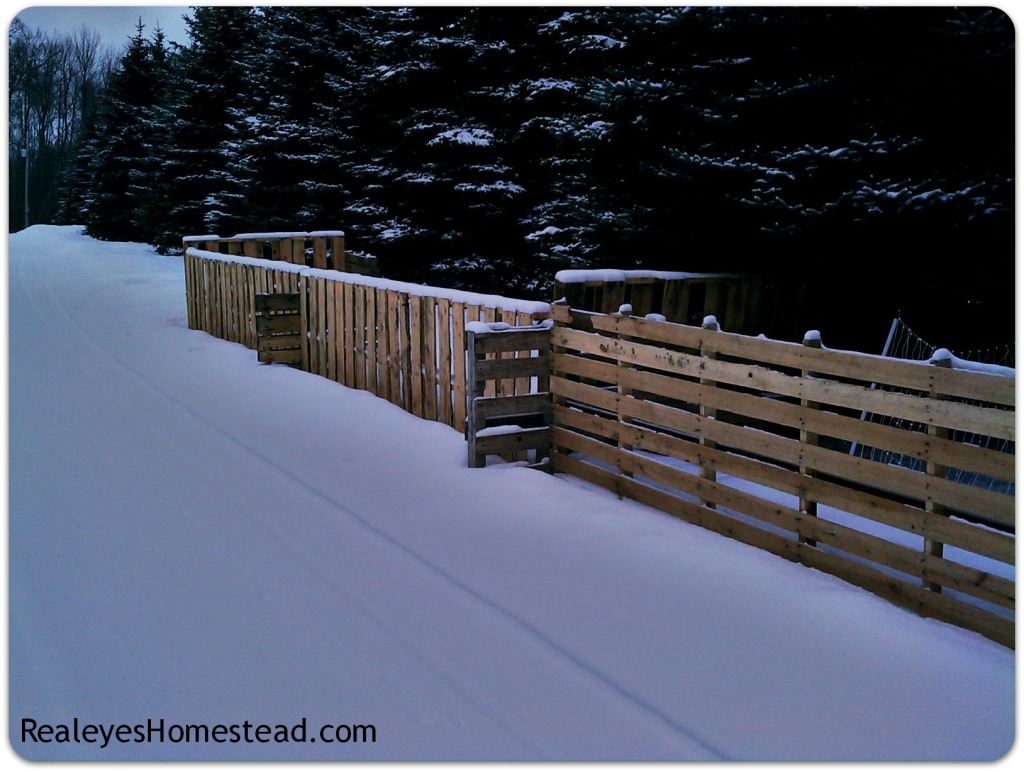 Pallet Fence