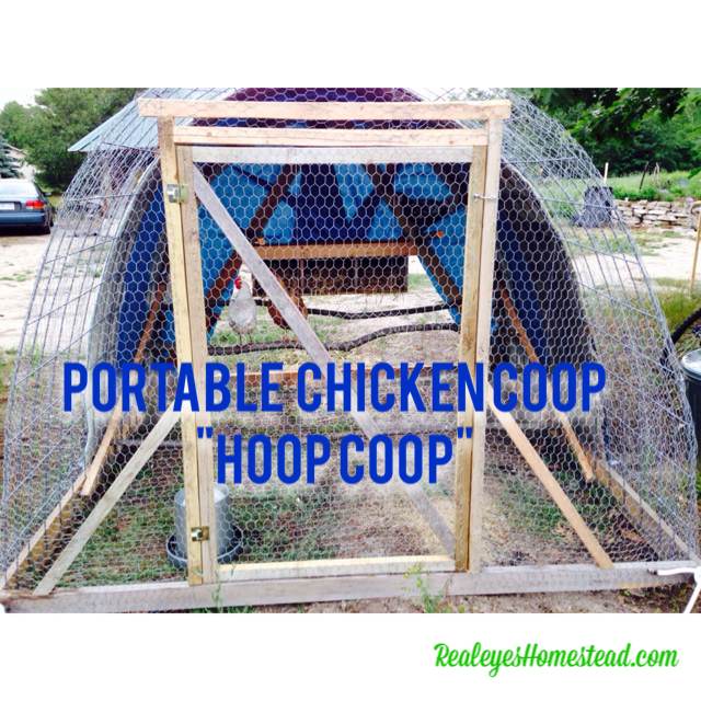 Photos: How to Build a Mobile Chicken Coop