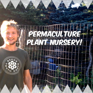 How We Made a Permaculture Plant Nursery