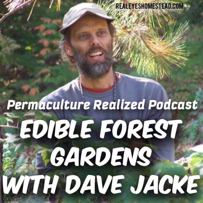 Edible Forest Gardens with Dave Jacke