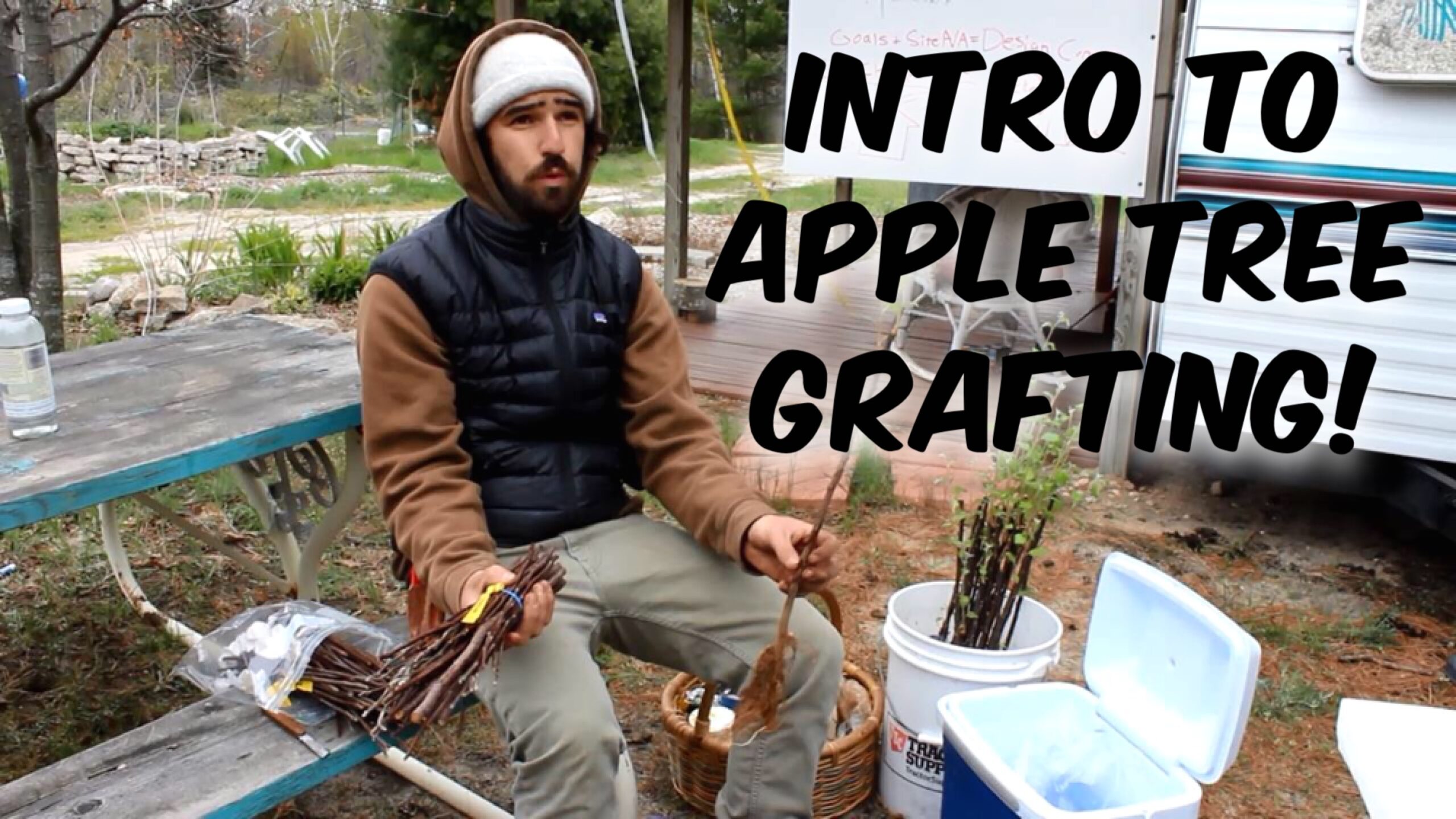 Introduction to Apple Tree Grafting with Trevor Newman [Video]