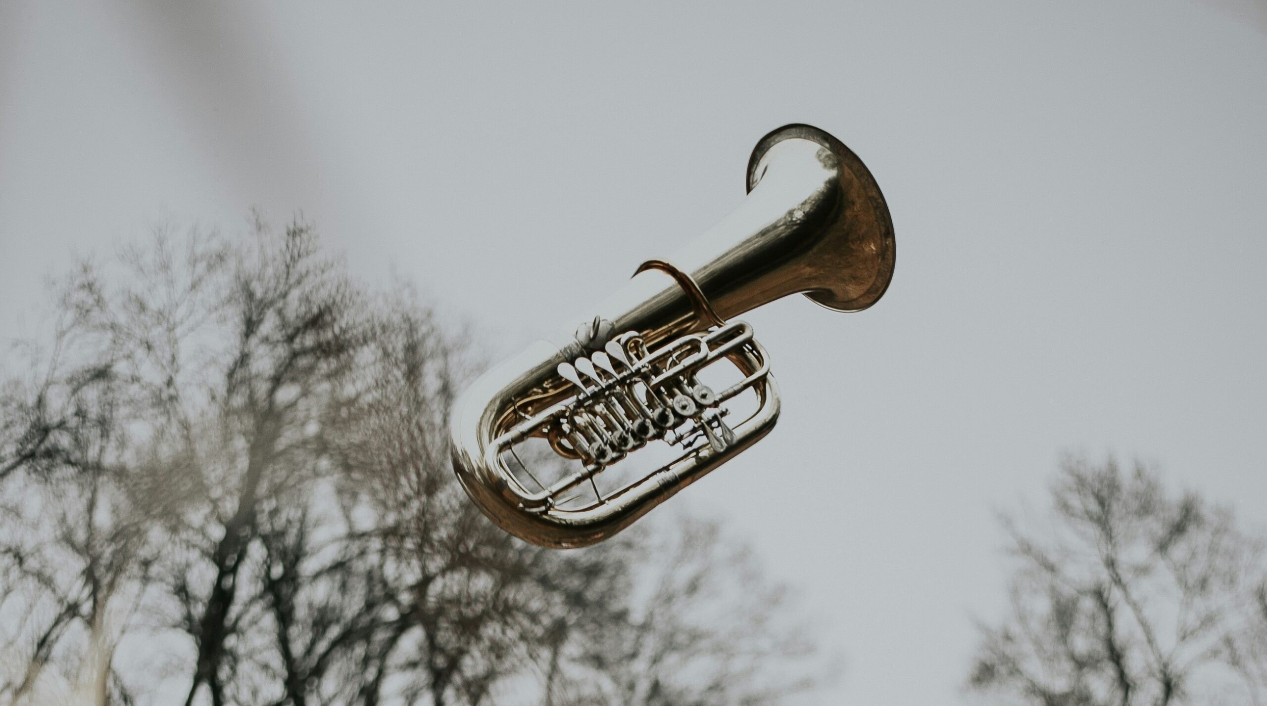 Music Magic in the Park
