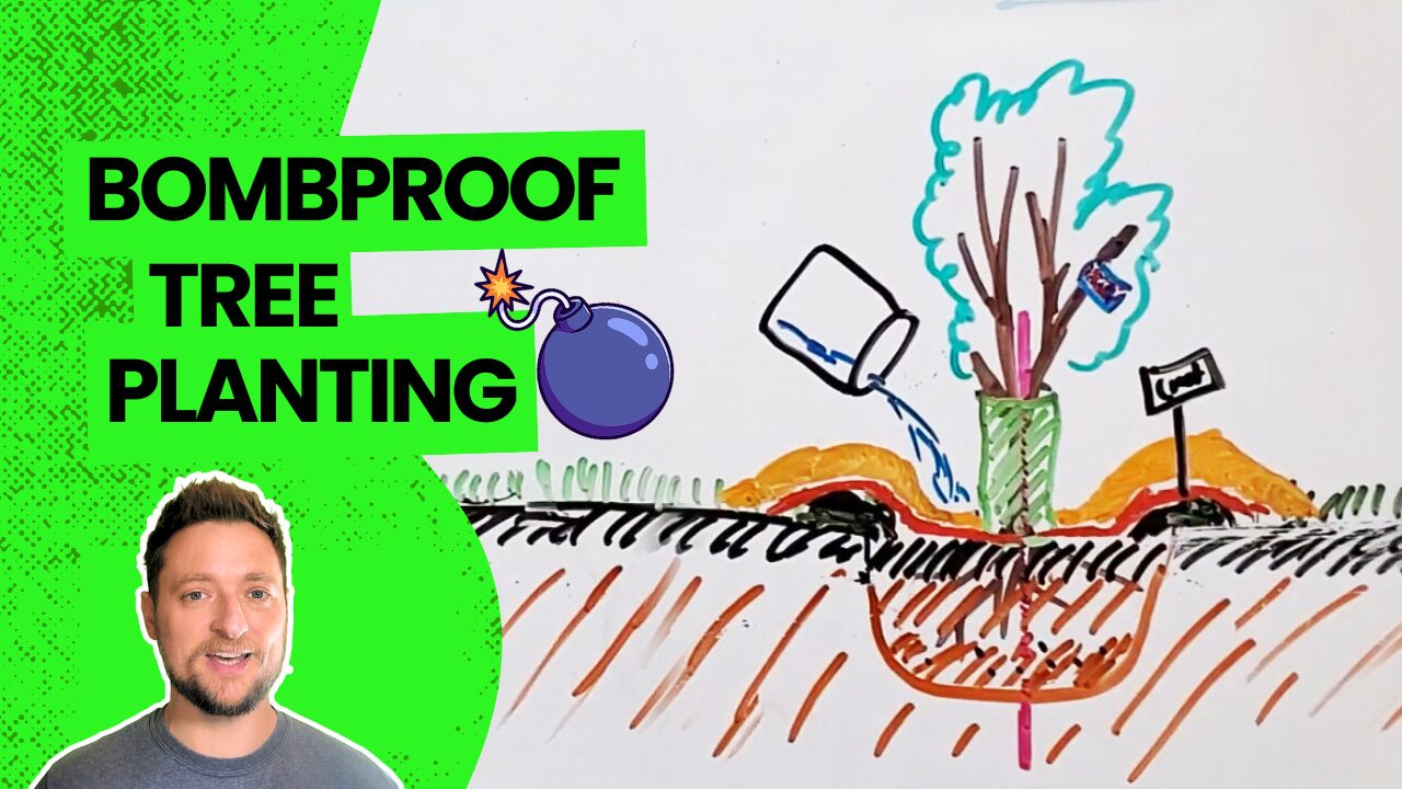 How to Plant a Tree – A Bombproof Method